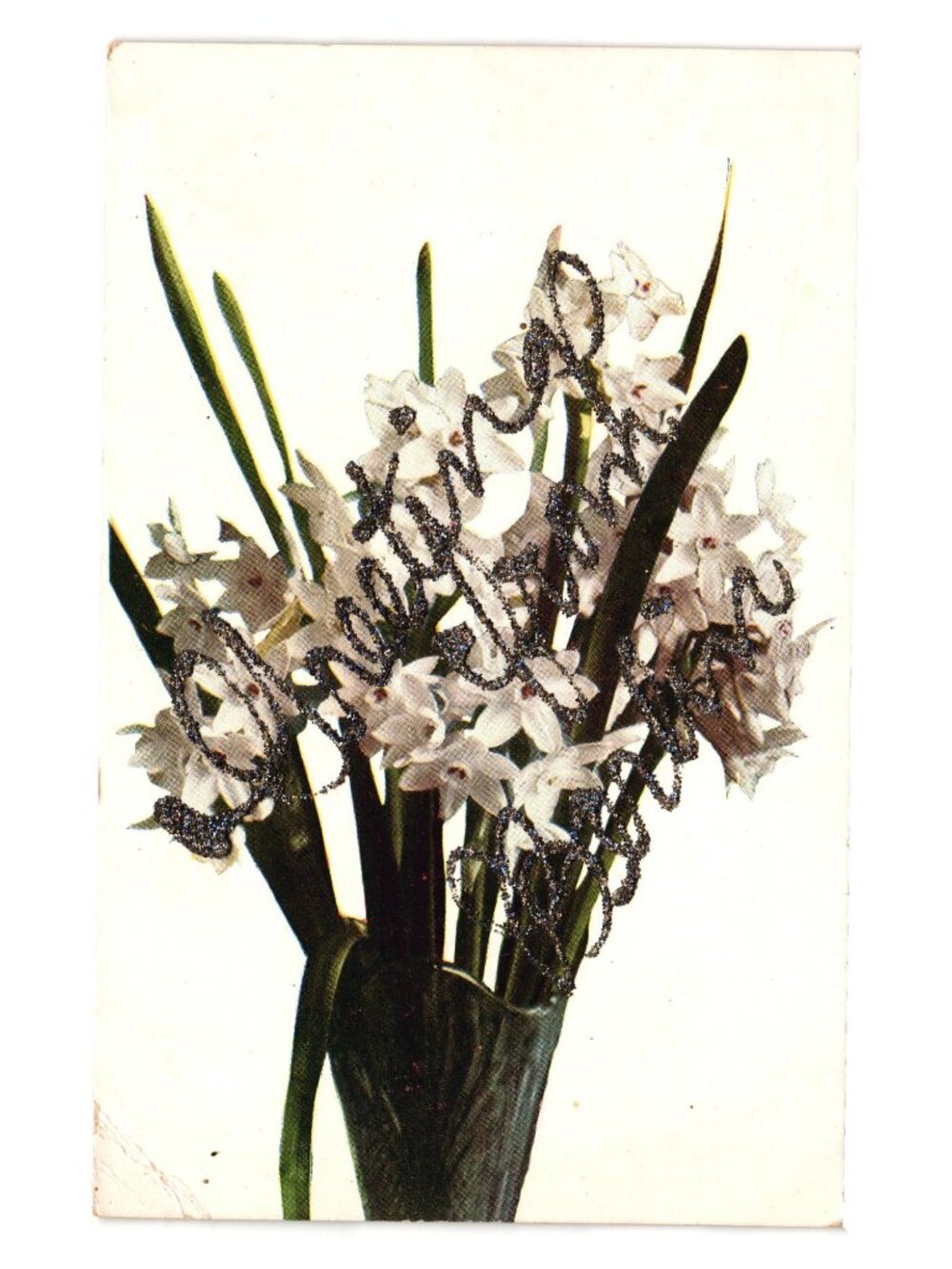 Antique Postcard Narcissus Flowers MacFarlane 1907 Greetings From Berlin Glitter